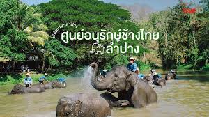 ศูนย์อนุรักษ์ช้างไทย